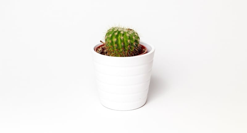 Mosaic Planters